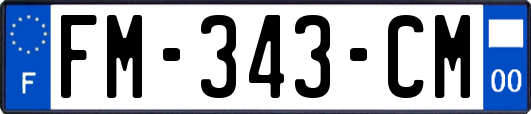FM-343-CM