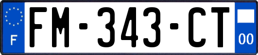 FM-343-CT