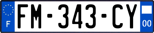 FM-343-CY