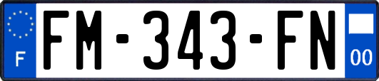 FM-343-FN