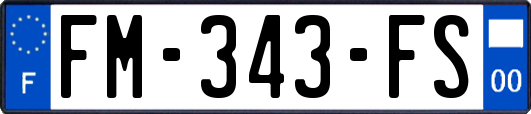 FM-343-FS