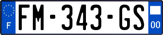 FM-343-GS