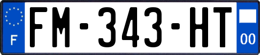 FM-343-HT