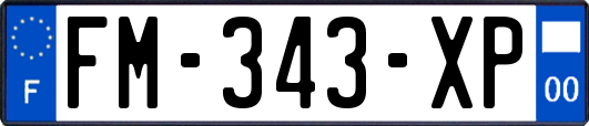 FM-343-XP