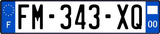 FM-343-XQ