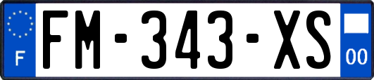 FM-343-XS