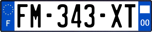 FM-343-XT