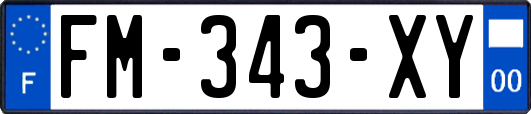FM-343-XY