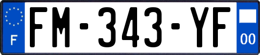 FM-343-YF