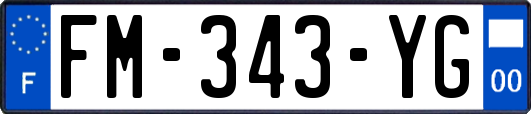 FM-343-YG
