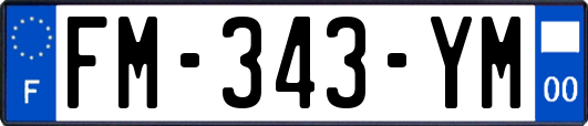 FM-343-YM