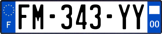 FM-343-YY