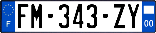FM-343-ZY