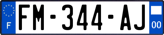 FM-344-AJ