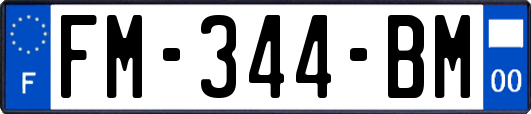 FM-344-BM