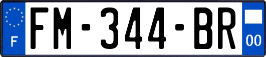 FM-344-BR