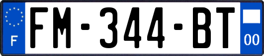 FM-344-BT