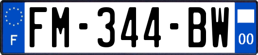 FM-344-BW