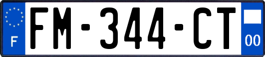 FM-344-CT