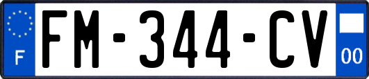 FM-344-CV