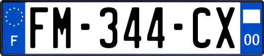 FM-344-CX