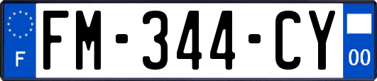 FM-344-CY