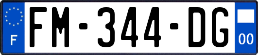 FM-344-DG