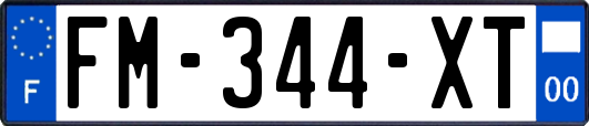 FM-344-XT