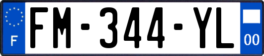 FM-344-YL