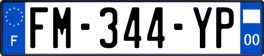 FM-344-YP