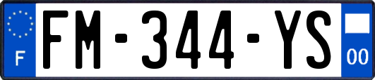 FM-344-YS