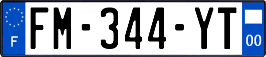 FM-344-YT