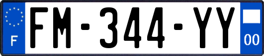 FM-344-YY
