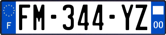 FM-344-YZ