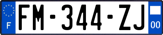 FM-344-ZJ