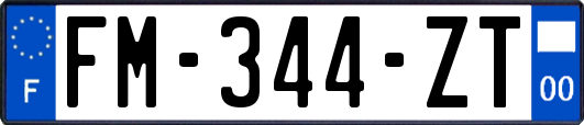 FM-344-ZT