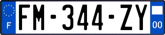FM-344-ZY