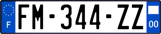 FM-344-ZZ