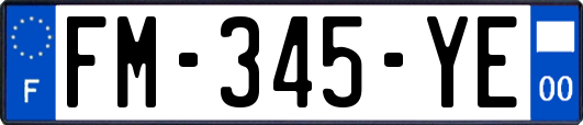 FM-345-YE