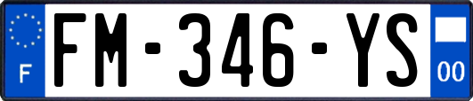 FM-346-YS
