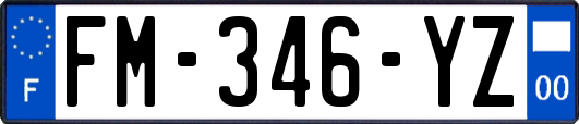 FM-346-YZ