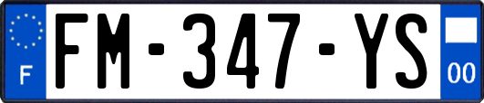 FM-347-YS