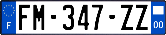 FM-347-ZZ