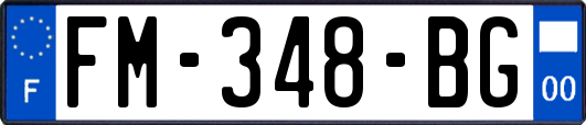 FM-348-BG
