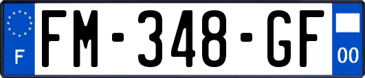 FM-348-GF