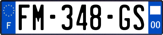 FM-348-GS