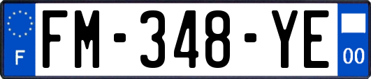 FM-348-YE