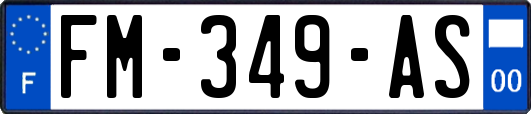 FM-349-AS