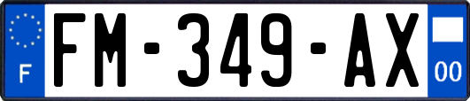 FM-349-AX
