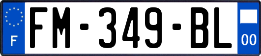 FM-349-BL